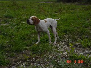 Mon Album photo